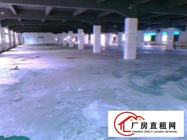  出租独院厂房9000平方米，空地超大可分租