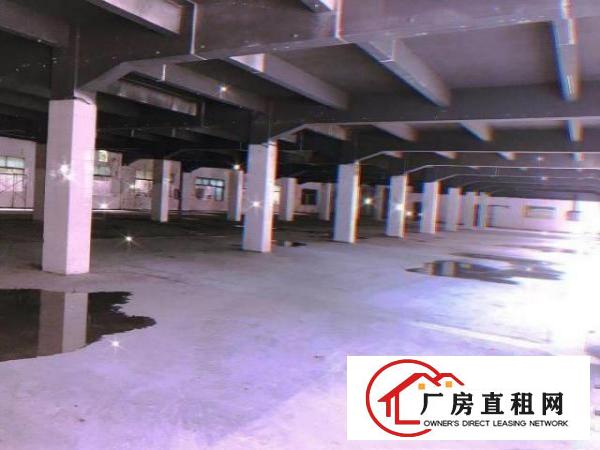  出租塘厦镇老区独门独院厂房，一二楼各2700平，带宿舍