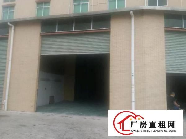  东莞塘厦清湖头独栋一楼450平招租