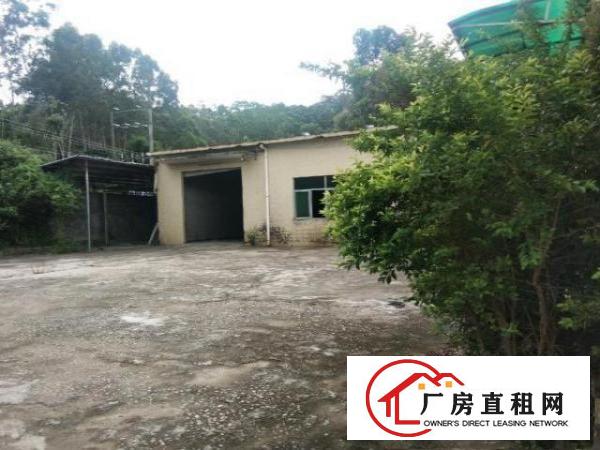  东莞塘厦龙背岭独门独院1500平出租