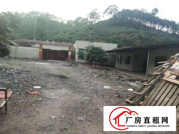  东莞塘厦龙背岭独门独院1500平出租