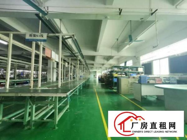  可分租！！塘厦大坪1800平方米二楼标准厂房：有喷淋和办公室