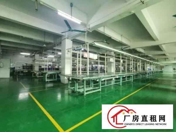  可分租！！塘厦大坪1800平方米二楼标准厂房：有喷淋和办公室