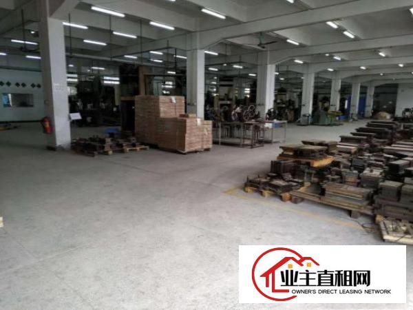  塘厦莲湖商业街650平方米精装修一楼厂房，临花园街/石潭埔/