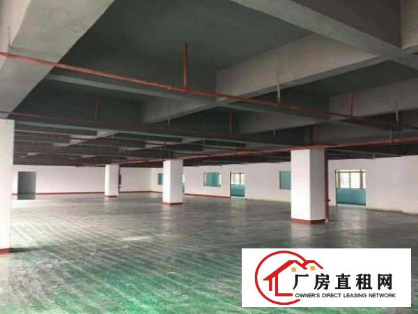  形象优美！原房东5000平方米花园式独栋标准厂房出租