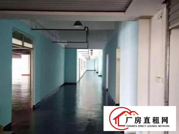  形象优美！原房东5000平方米花园式独栋标准厂房出租