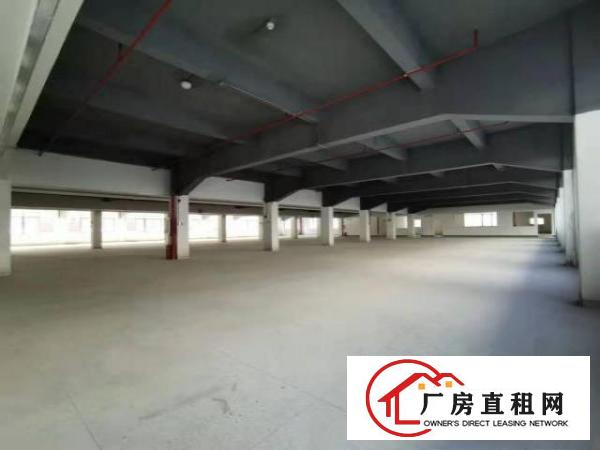  形象优美！原房东5000平方米花园式独栋标准厂房出租