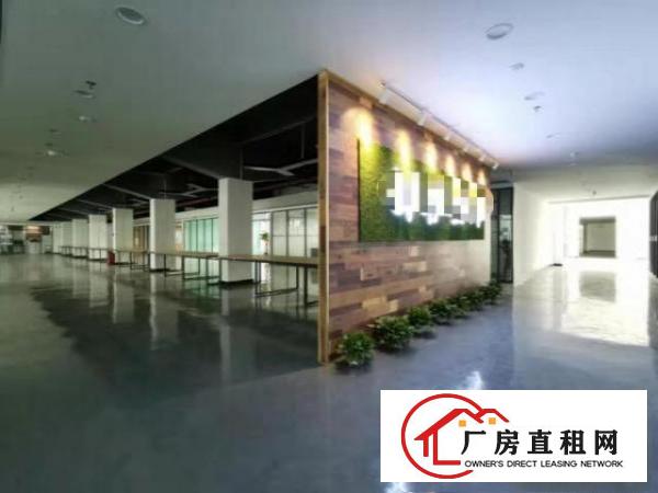  形象优美！原房东5000平方米花园式独栋标准厂房出租