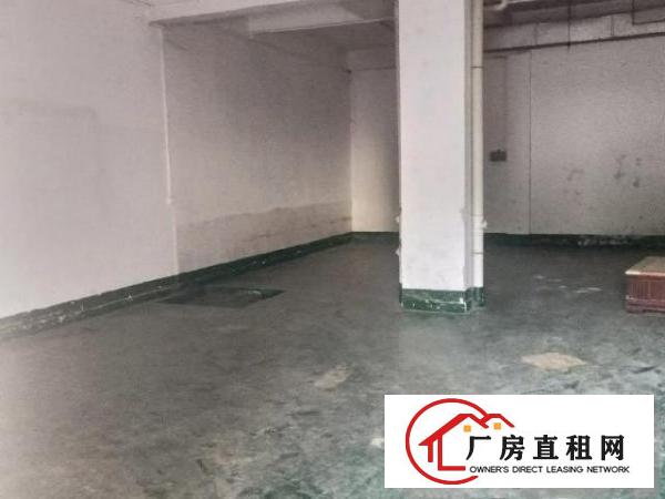  大坪出口科苑城一楼250平租5500
