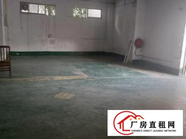  大坪出口科苑城一楼250平租5500