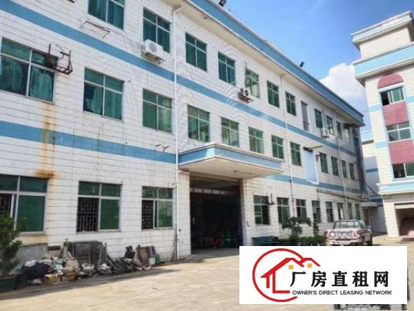  原房东，2-3楼，每层1400平，花园式厂房