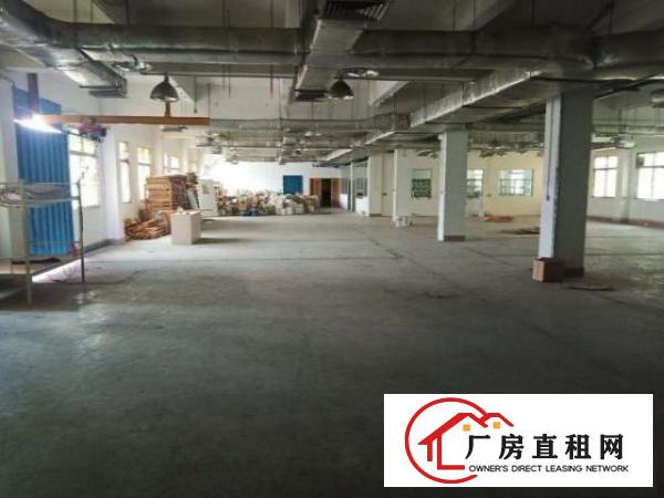  原房东，2-3楼，每层1400平，花园式厂房