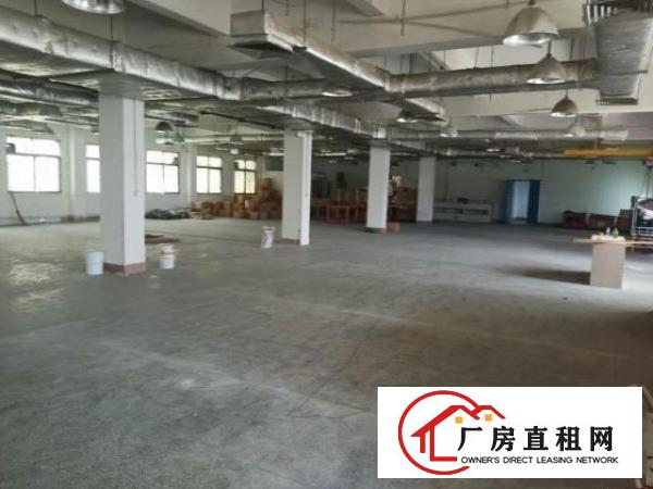  原房东，2-3楼，每层1400平，花园式厂房
