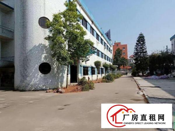  五金，电子~清湖头4200平方消防合格！独院厂房！带水电装修