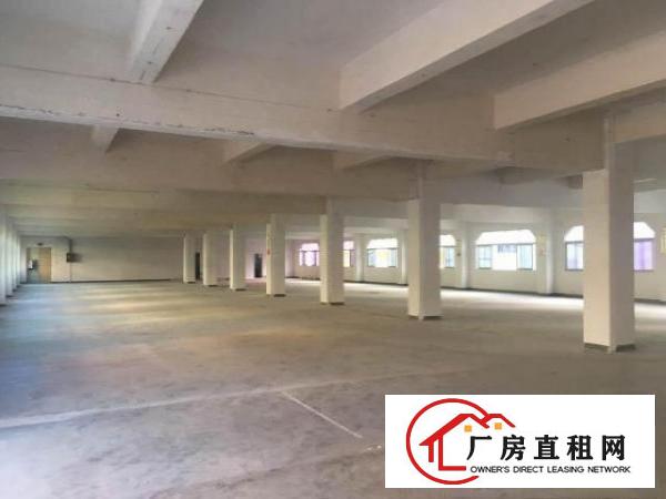  【~石鼓村1650平方独院一楼厂房，五金塑胶业~】