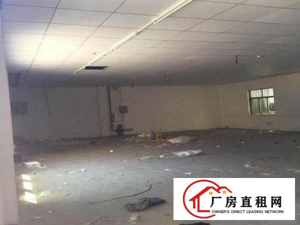  原房东诚租，塘厦平山500平方米独立小钢构厂房，位主干道边