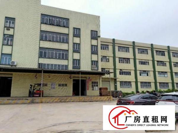  （出租）原房东塘厦镇莲湖独院标准4层1万平方!已空置即租即用