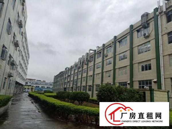  （出租）原房东塘厦镇莲湖独院标准4层1万平方!已空置即租即用
