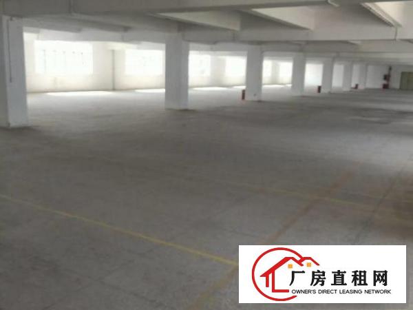  （出租）原房东塘厦镇莲湖独院标准4层1万平方!已空置即租即用