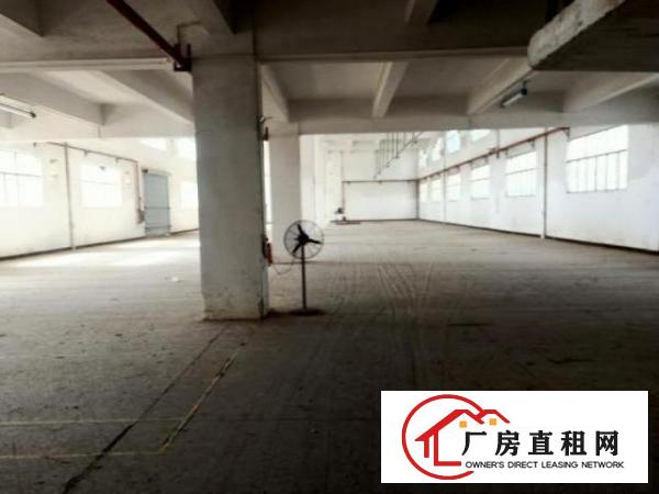  （出租）原房东塘厦镇莲湖独院标准4层1万平方!已空置即租即用