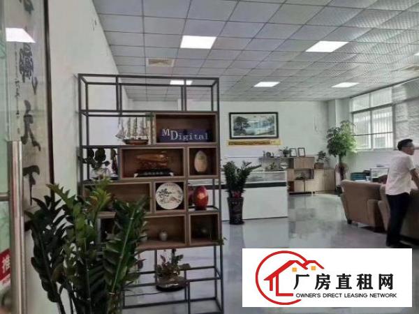  塘厦镇中心6米高一楼520平米，现成办公室装修