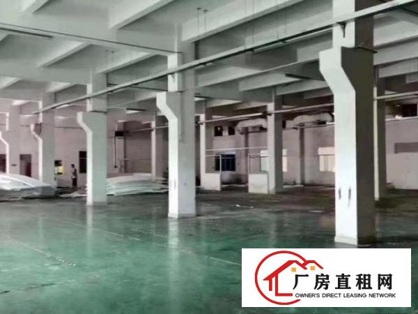  新空出标准一楼：1400平方，高6米，报价24元