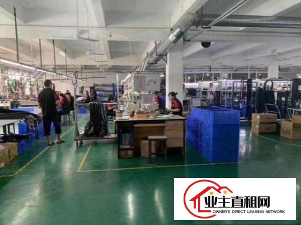  原房东二楼厂房出租租金便宜16一平1600平