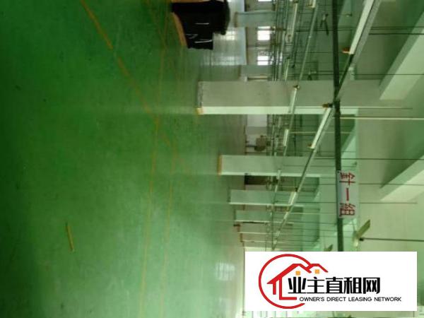  塘厦镇村委厂房，空地超大，电可过户