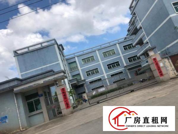  塘厦大坪高速旁原房东独院出租，精装修
