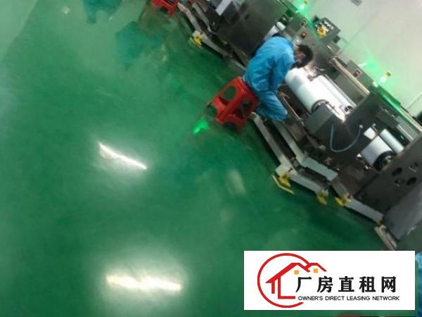  塘厦大坪高速旁原房东独院出租，精装修
