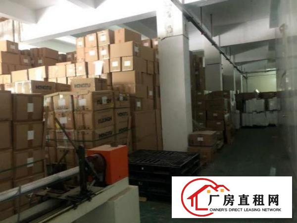  塘厦大坪高速旁原房东独院出租，精装修