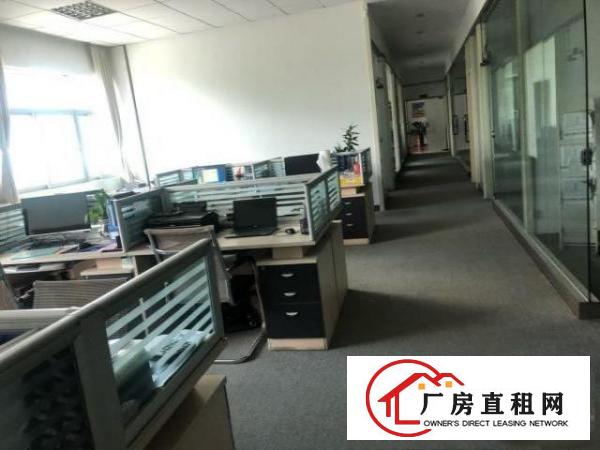  塘厦大坪高速旁原房东独院出租，精装修