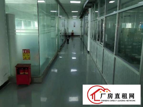  塘厦莲湖独院厂房8500平方