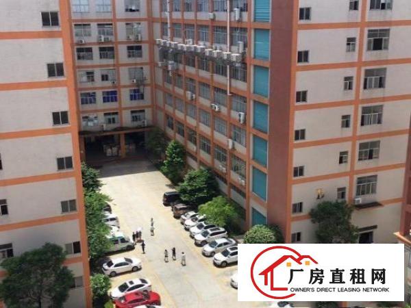  原房东招租，无转让费