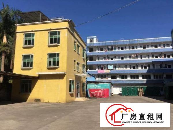  【塘厦沙湖4800平米独院厂房，带装修和宿舍空地，临观澜】