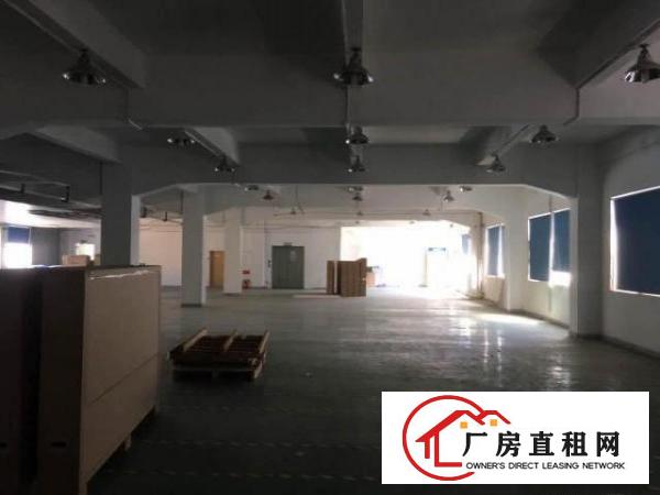  【塘厦沙湖4800平米独院厂房，带装修和宿舍空地，临观澜】
