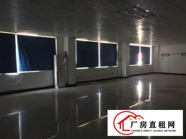  【塘厦沙湖4800平米独院厂房，带装修和宿舍空地，临观澜】