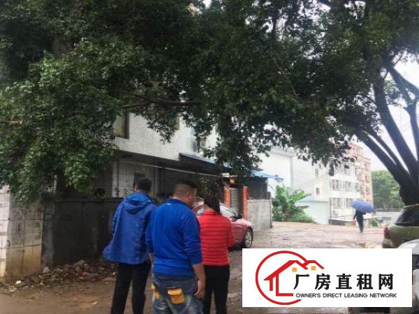  ~~塘厦林村3层半880平方标准厂房，三厢电，价格便宜~~