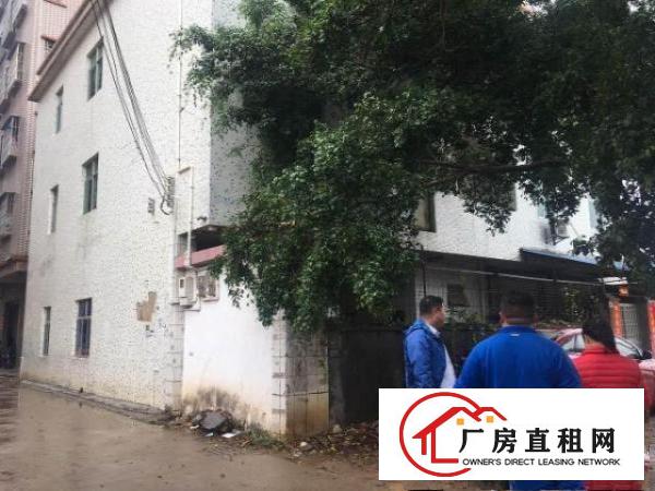  ~~塘厦林村3层半880平方标准厂房，三厢电，价格便宜~~