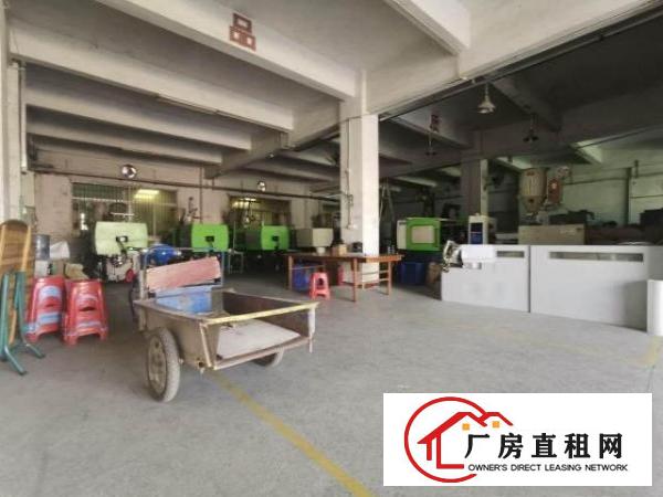  地理优势好！塘厦田心3500平方米标准独院厂房！一楼5米高
