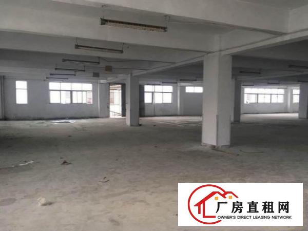  【。塘厦莲湖独院厂房：接受电池客：可分660平和760平。】
