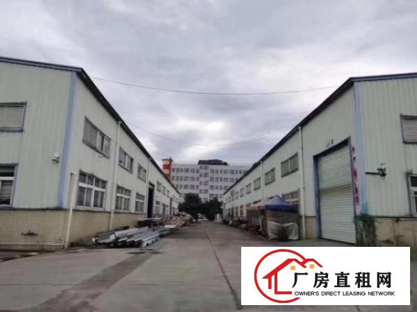  新出原房东单一层滴水8米钢构一栋3600平方，空地超大！