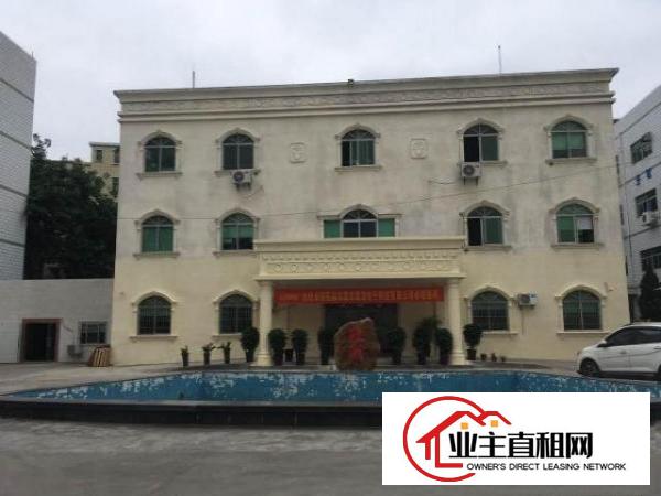  塘厦沃尔玛550平米豪华装修办公室，电商贸易研发