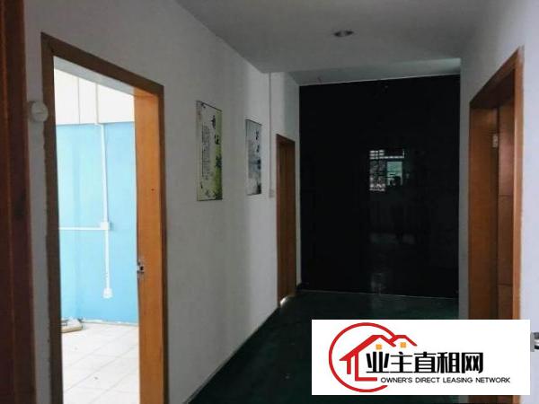  塘厦沃尔玛550平米豪华装修办公室，电商贸易研发
