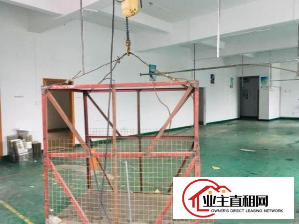  塘厦沃尔玛550平米豪华装修办公室，电商贸易研发