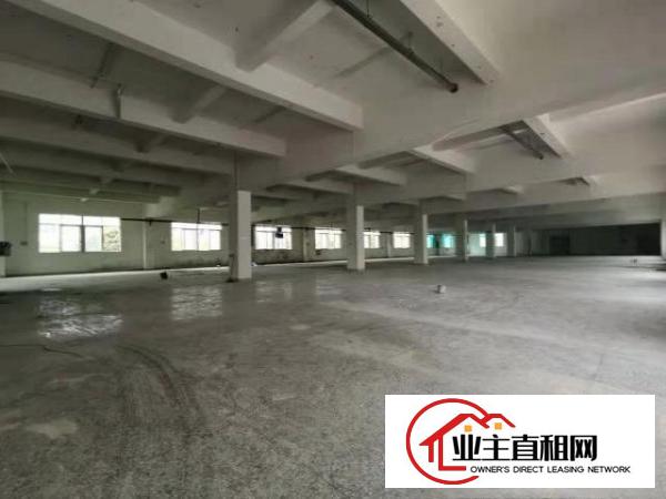  （自,You~招租！）科苑城5000平米楼上厂房无公摊出租