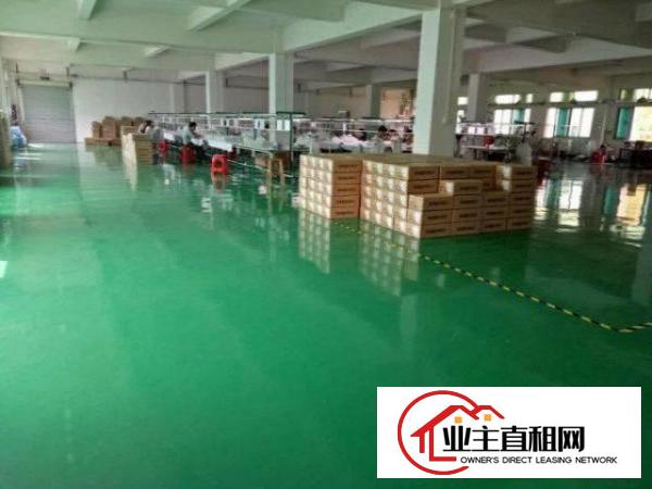  自有~塘厦镇中心6000平米原房东独院厂房（带行车豪华装修）
