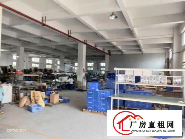  新出标准一楼1640平方高度6米大车随便进出，空地大，
