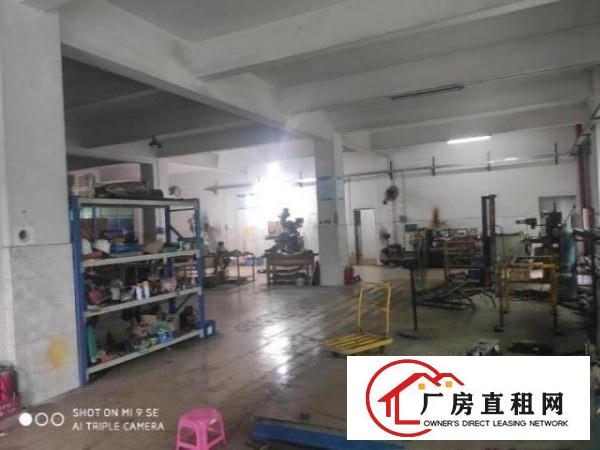  塘厦蒲心湖一楼600平方标准厂房招租
