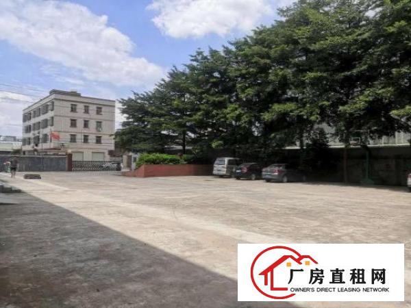  塘厦厂房、写字楼、店面招租啦
